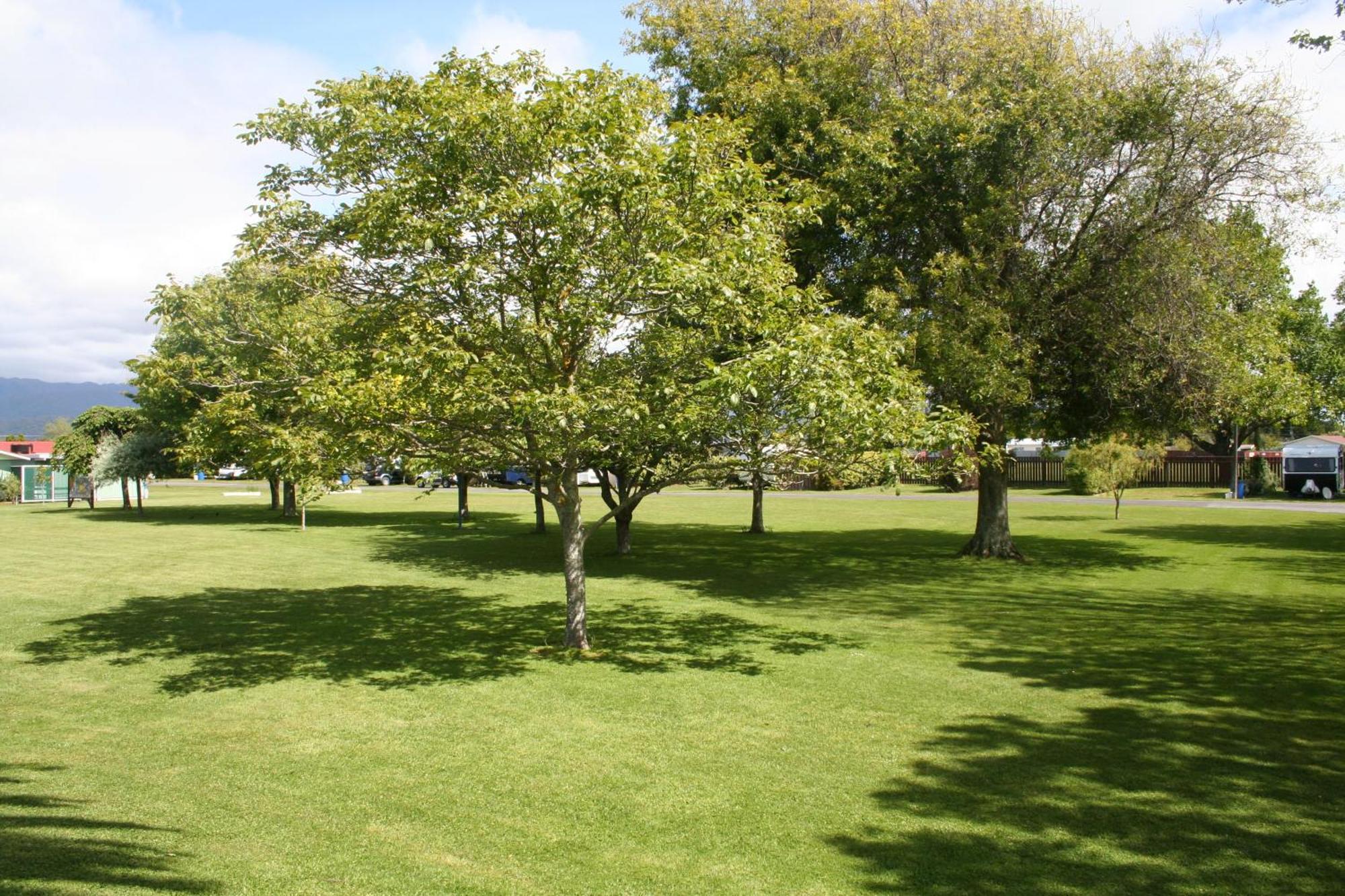 Levin Kiwi Holiday Park Zewnętrze zdjęcie